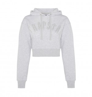 Trapstar Irongate Stud Cropped Hoodie Grey | FTAK79032