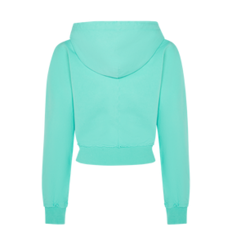 Trapstar Irongate Cropped Batwing Zip Hoodie Teal | WNFY46085